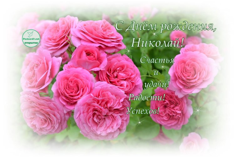 Николай с днем рождения стихи