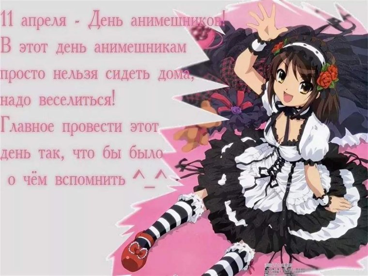 День АНИМЕШНИКА