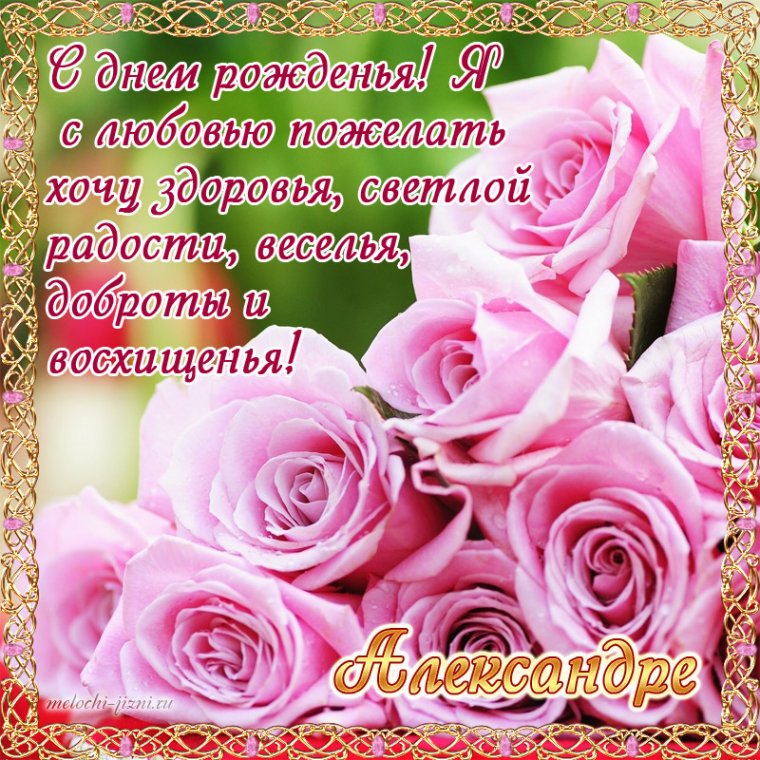С днём рождения Алексардра