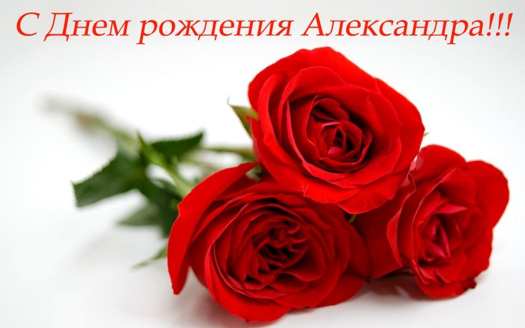 С днём рождения Александра