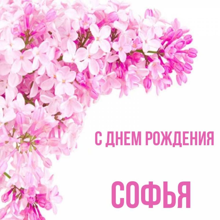 С днём рождения Софья