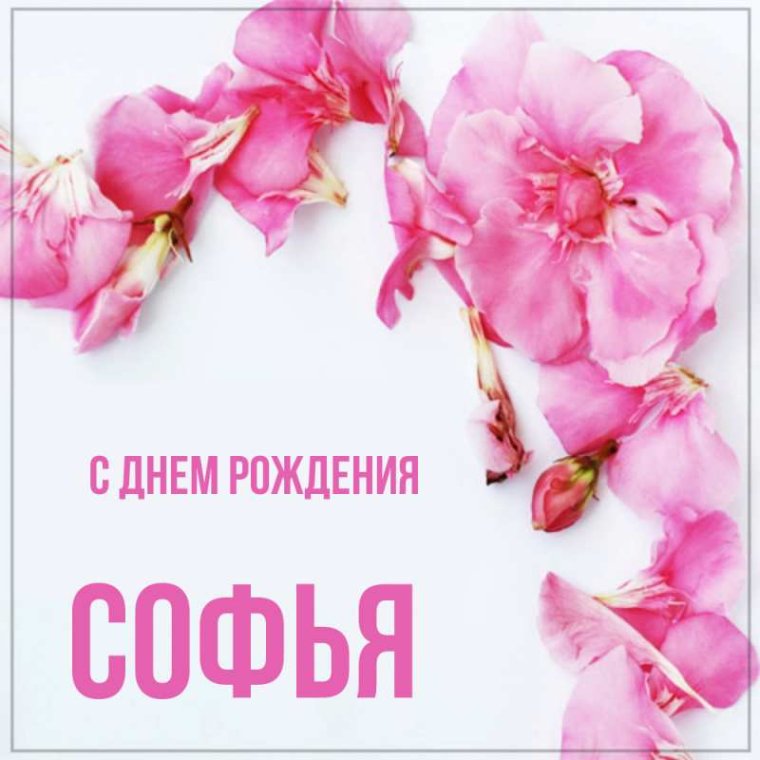 Поздравления с днём рождения Софье