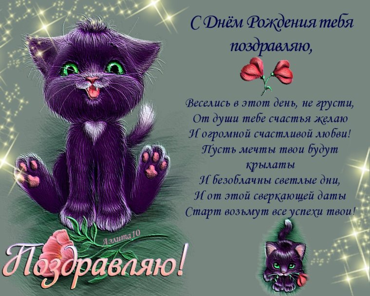 Поздравления с днём рождения Сонечке