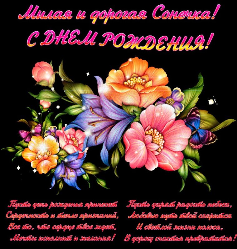 С днём рождения Сонечка открытка