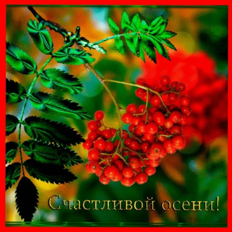 Счастливой осени