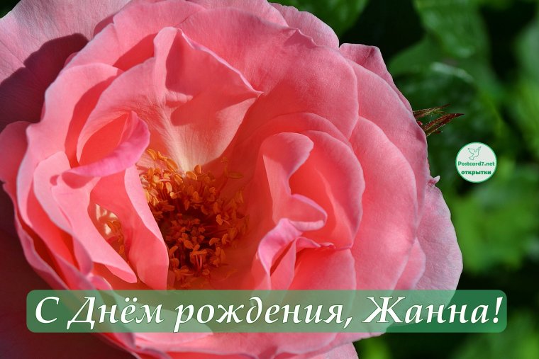Поздравить Жанну с днем рождения