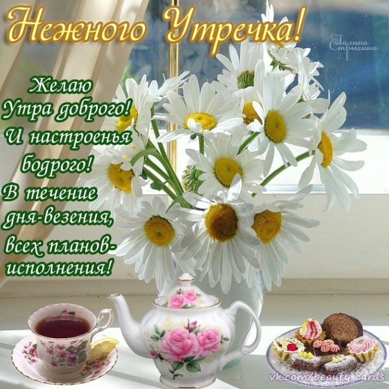 Добрые пожелания