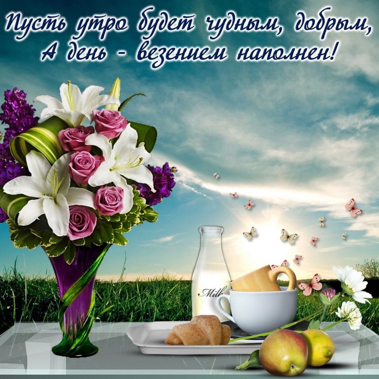 Добрые пожелания