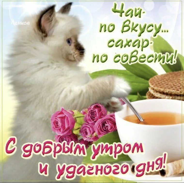 Открытки с добрым утром прикольные