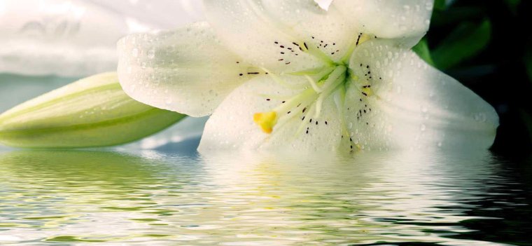 Поздравления с днём рождения