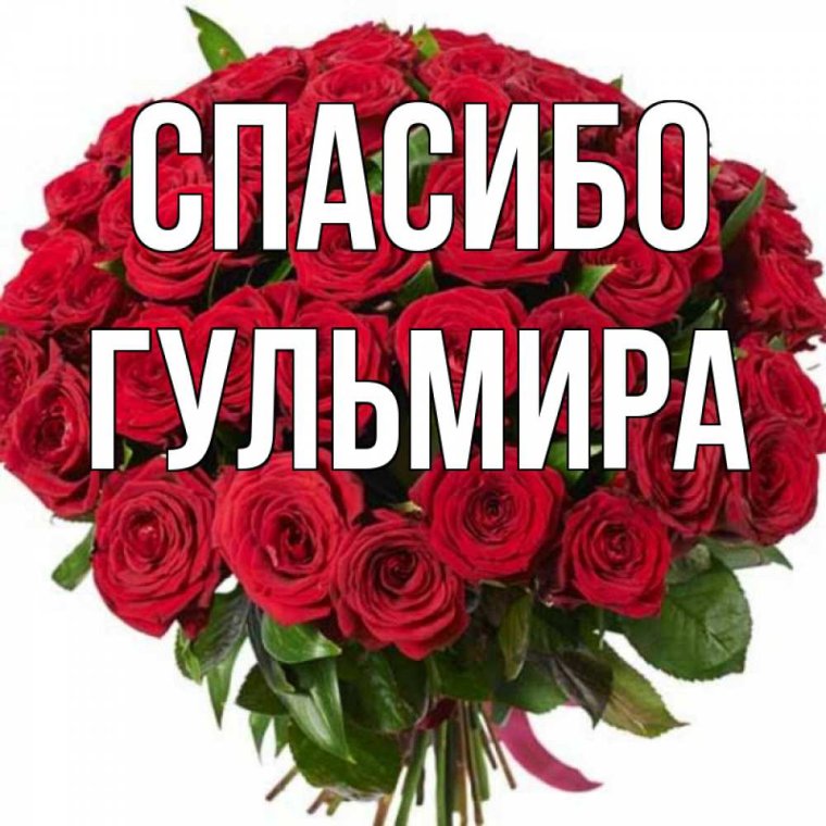 Поздравления с днём рождения Джамиля