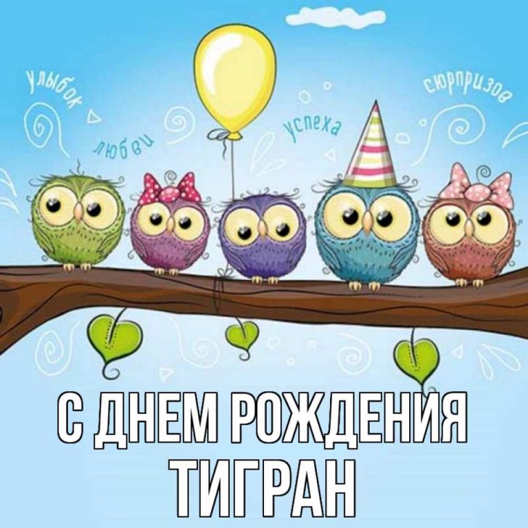 С днём рождения Тигран