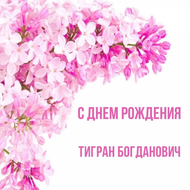 С днём рождения Тигран картинки