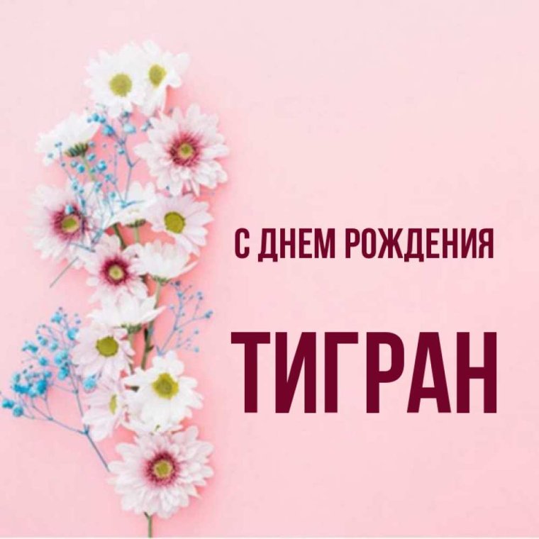 Поздравления с днём рождения Тиграна