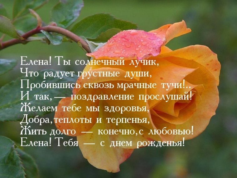 Елена Владимировна с днем рождения