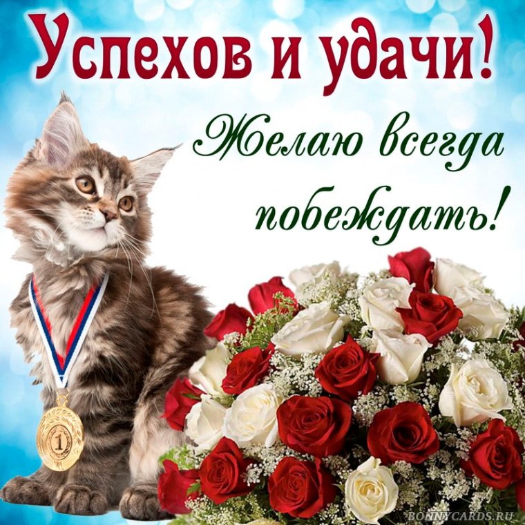 Открытки с пожеланием удачи