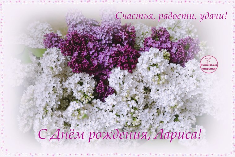 С днём рождения Лвриса
