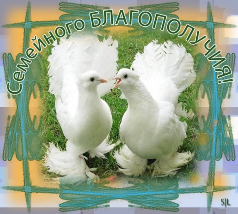 Поздравление с совместной жизнью