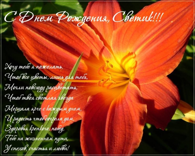 Света с днём рождения