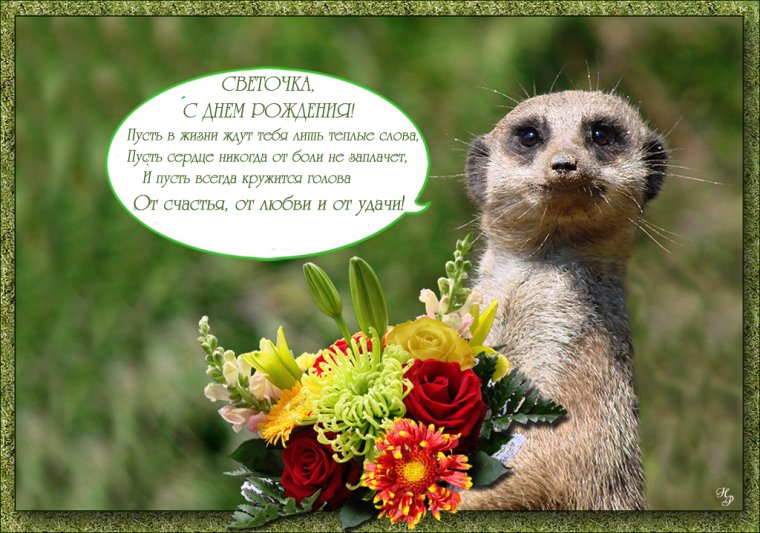 Поздравления с днём рождения свете