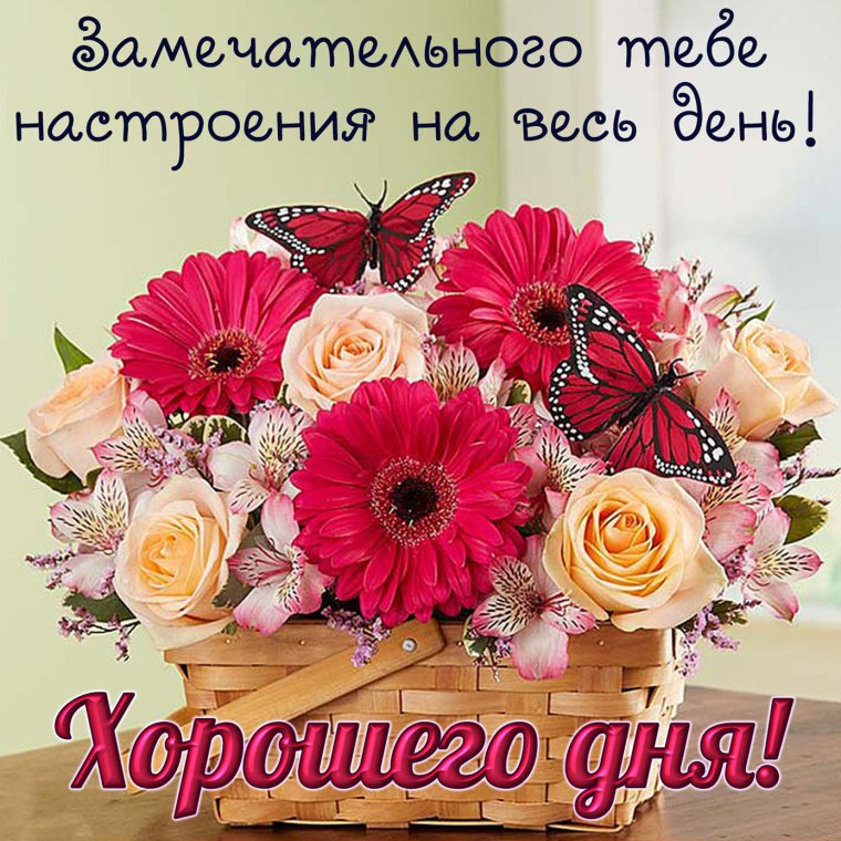 Удачного дня и отличного настроения