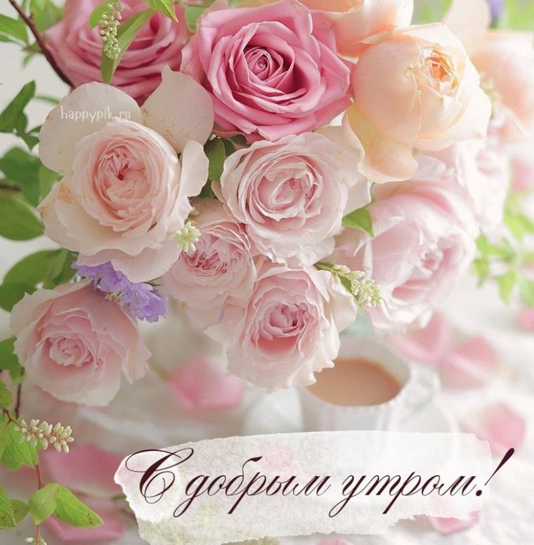 Доброе утро цветы