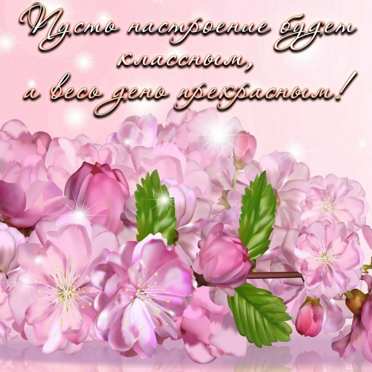 Добрые пожелания