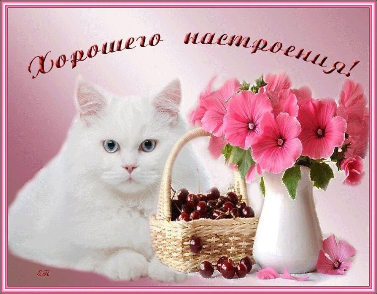 Открытка "хорошего настроения"
