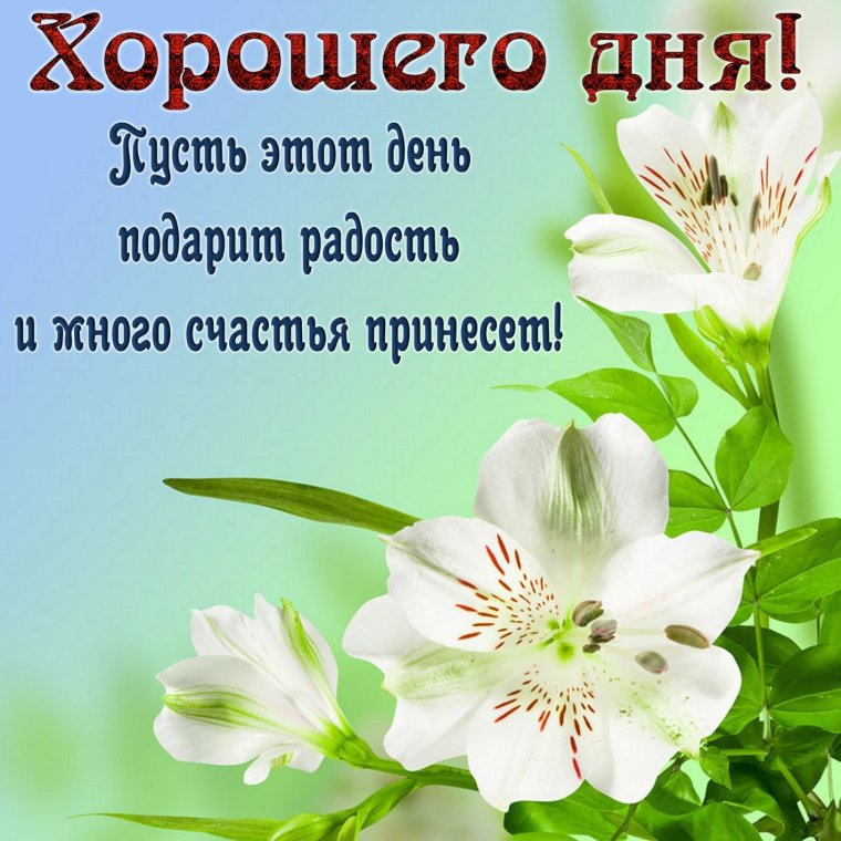 Пожелания доброго дня