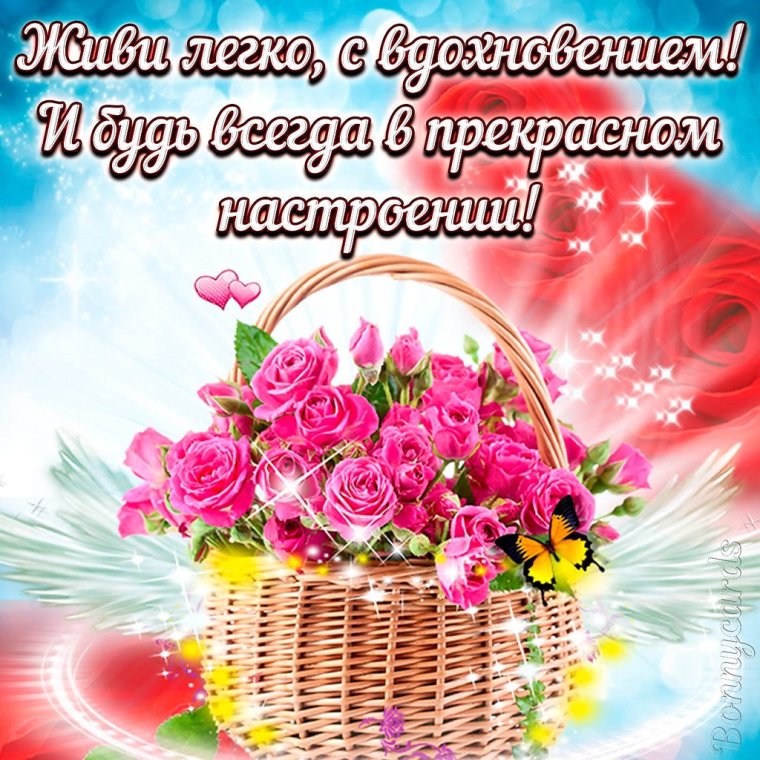Хорошего дня открытки красивые