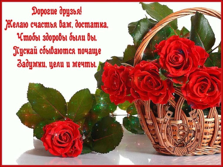 Поздравление с добрым днем