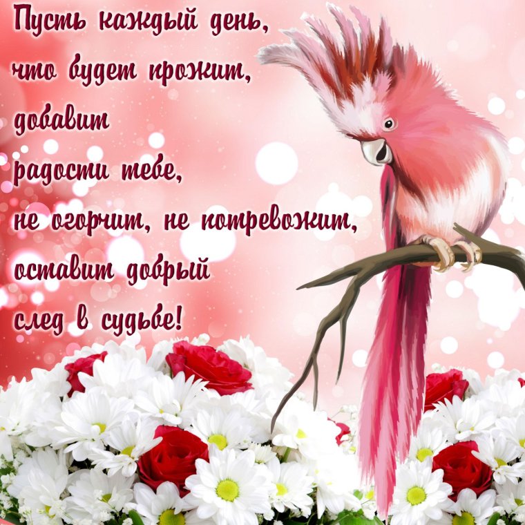 Поздравления на каждый день