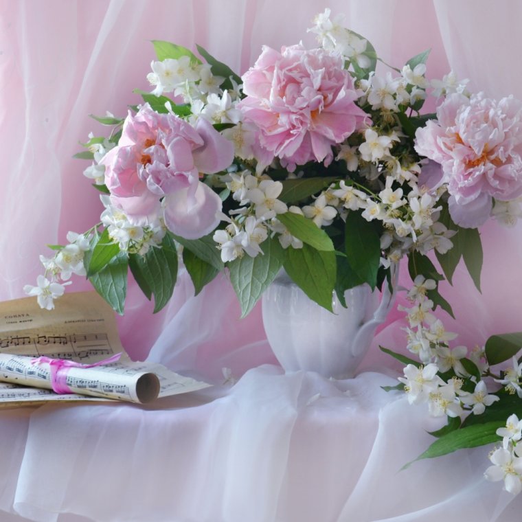 Поздравления для Жасмин