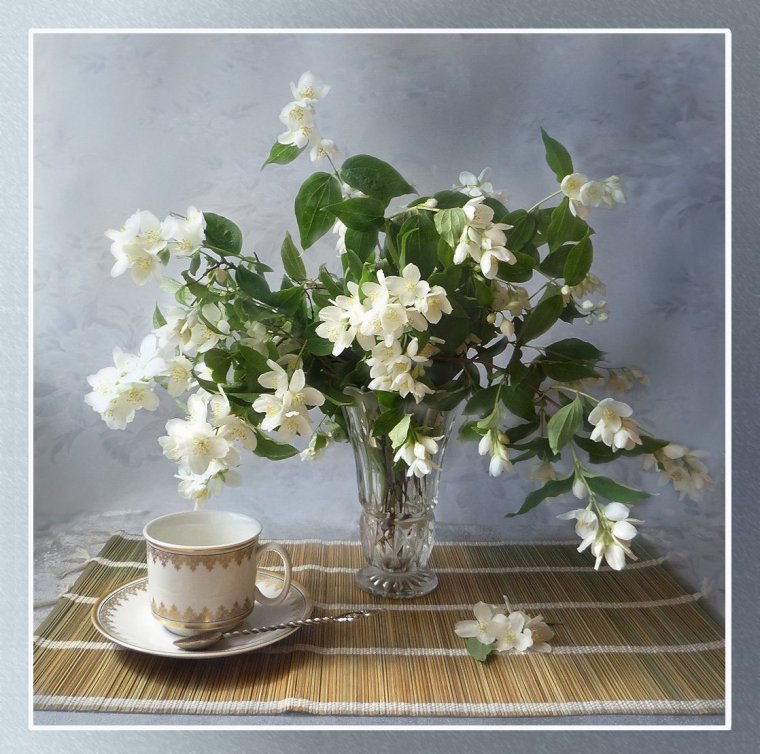 Принцесса Жасмин фон