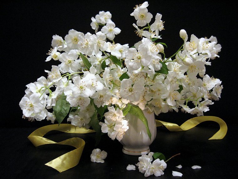 Жасмин принцесса Дисней имя