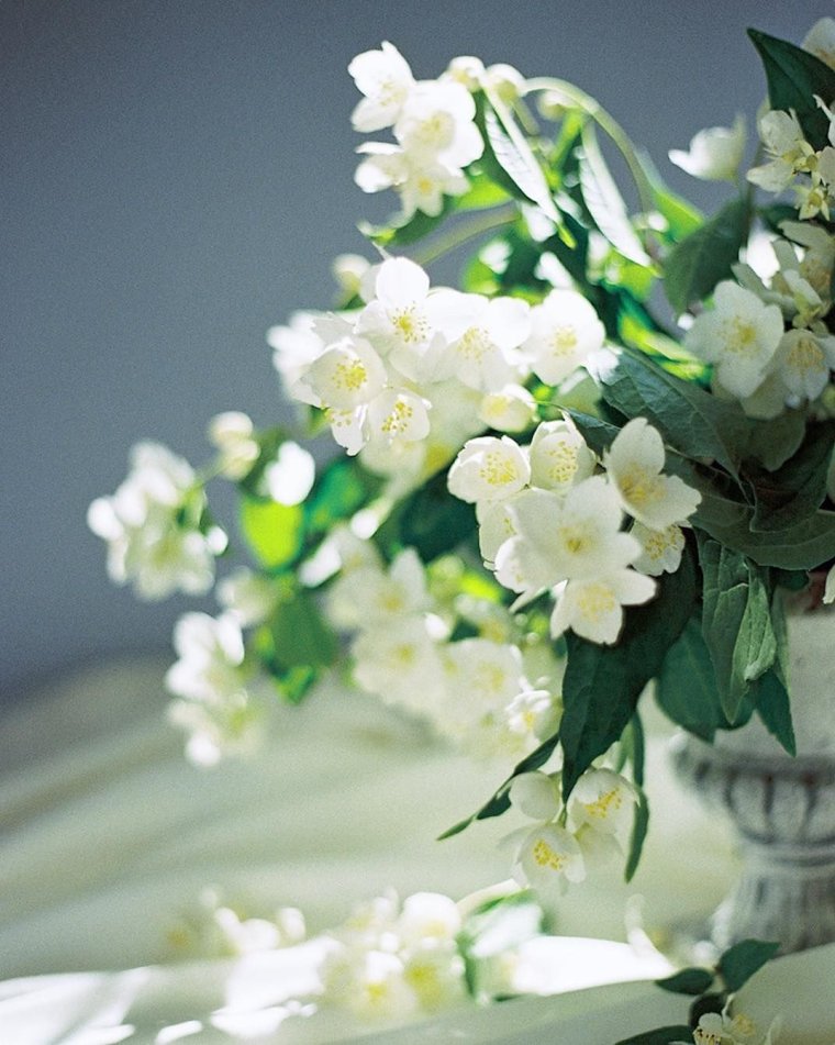 Композиция с жасмином