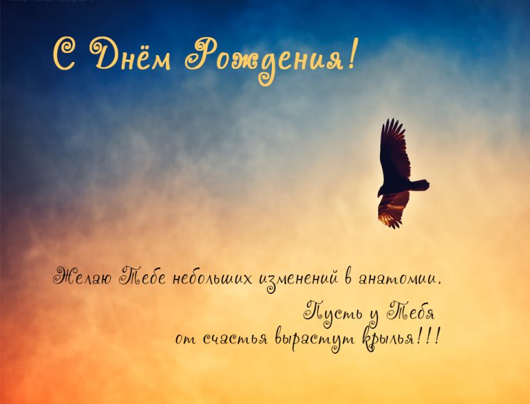 С днём рождения мужчине
