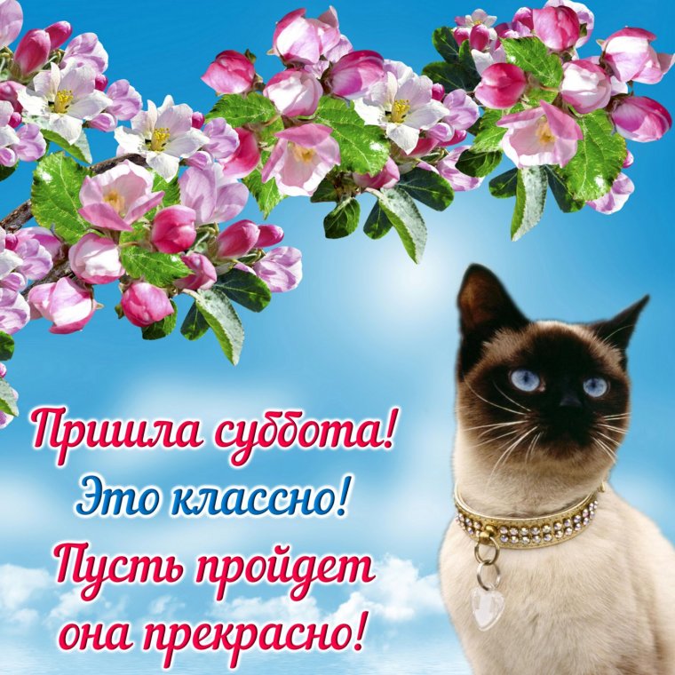 Прекрасного настроения на выходные