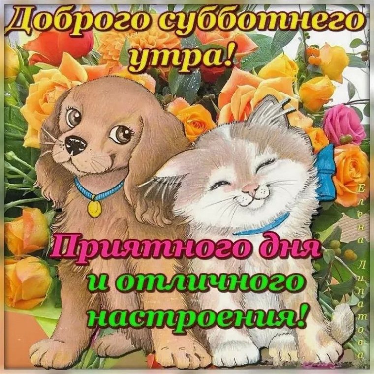 Сдобрым ссуботним утром