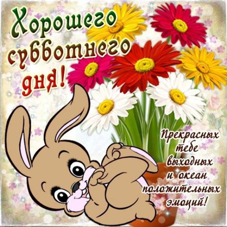 Поздравление с прекрасным днем