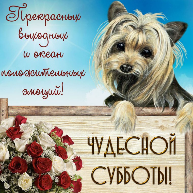 Доброе субботнее утро