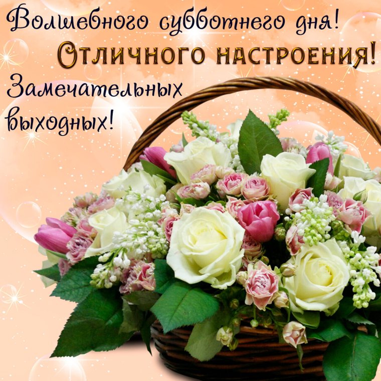 Хорошей субботы и отличного настроения