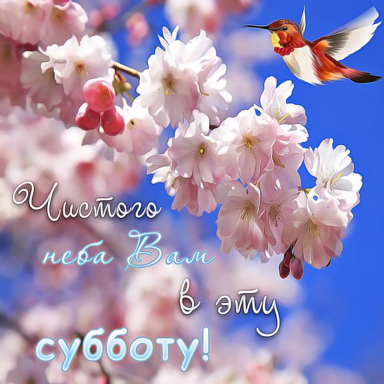 Открытки с добрым субботним утром