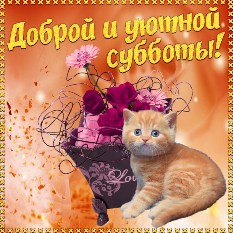 Хорошей субботы и отличного настроения