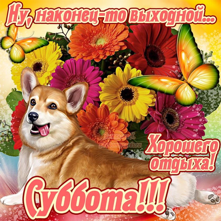 Хорошей субботы