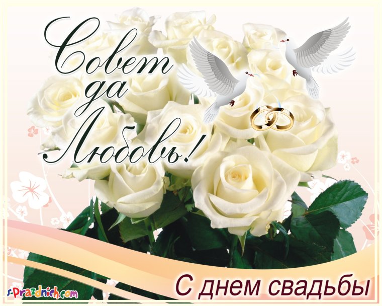 Поздравление с днём свадьбы племяннице от тёти