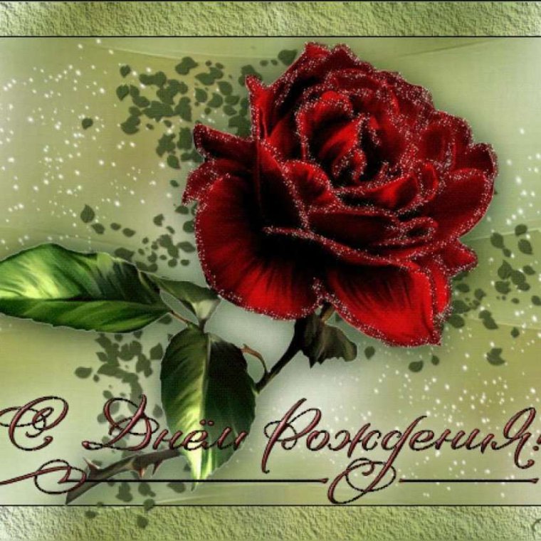 Открытки с днём рождения Рамиль прикольные