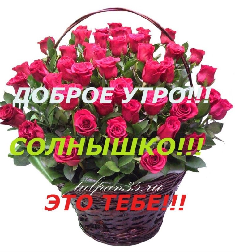 Доброе утро любимая Наташенька