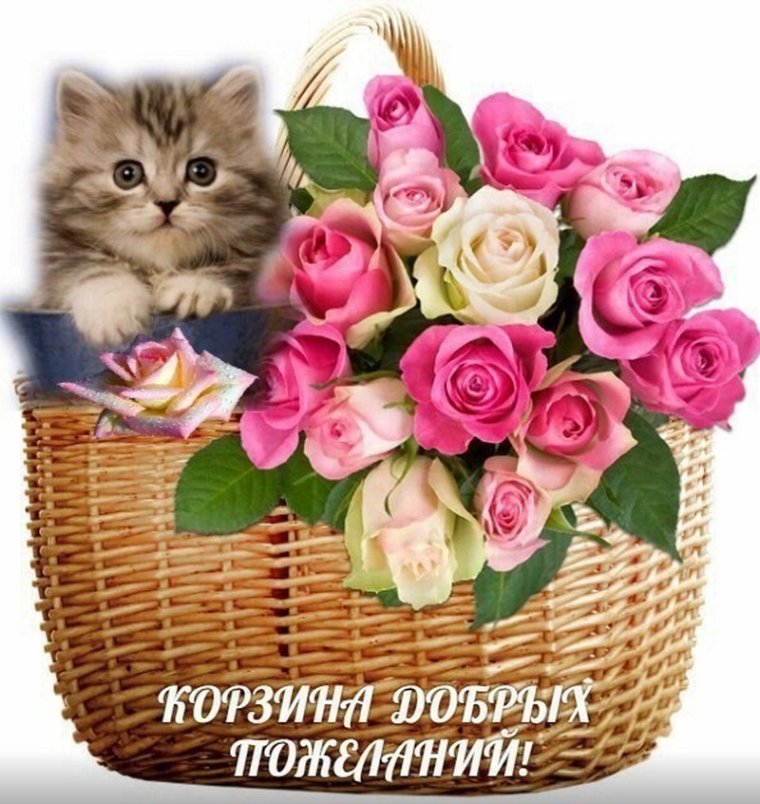 Доброго утра и счастья в лукошке