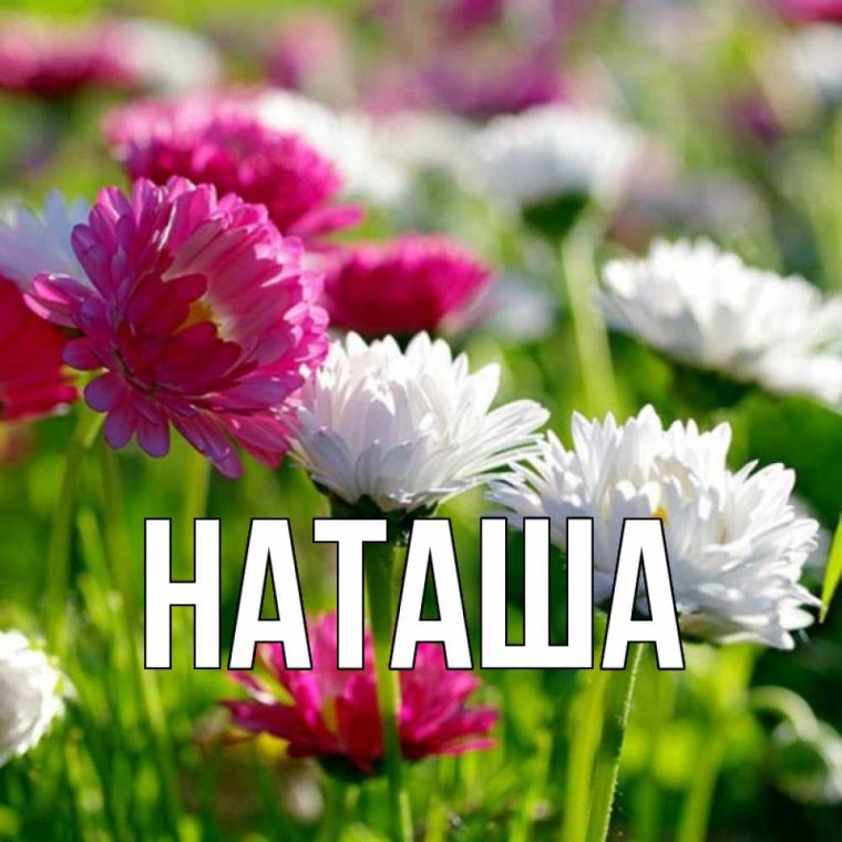 Имя Наташа